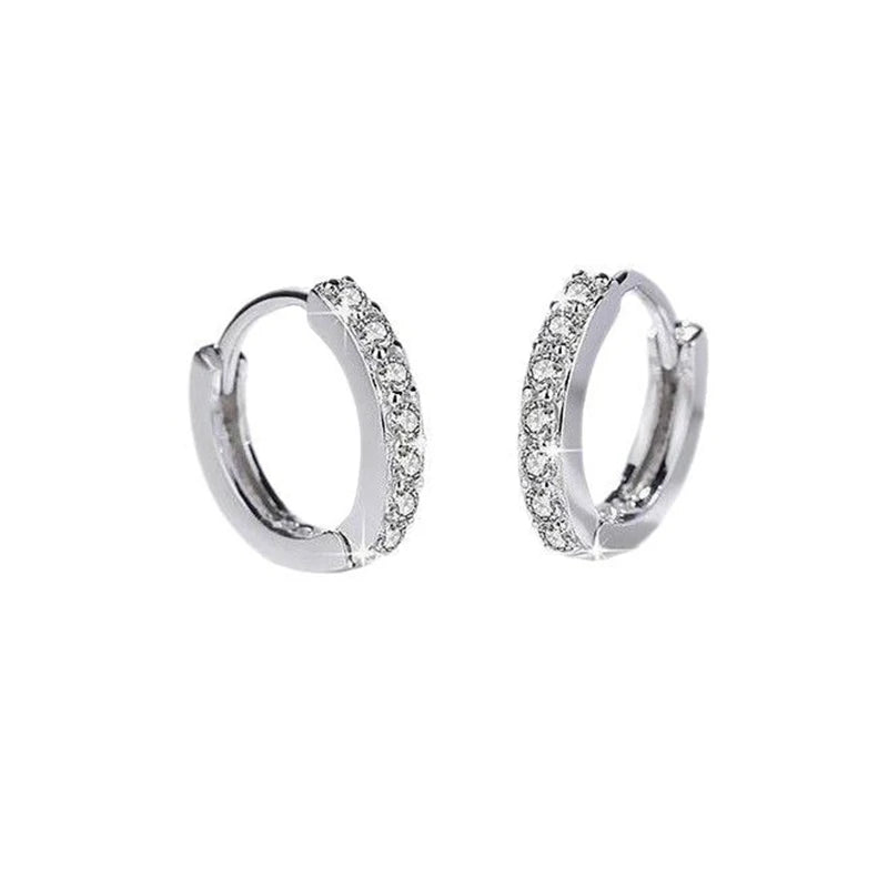 Real 925 Sterling Silver Zircon Round Hoop Earrings For Women Classic Fine Jewelry Light Luxury Geometric Accessories