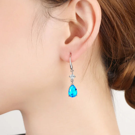 925 Sterling Silver Earrings luxury Circle Zircon Hoop Earring for Grils Woman Wedding party Jewelry Gifts Fine Jewelry