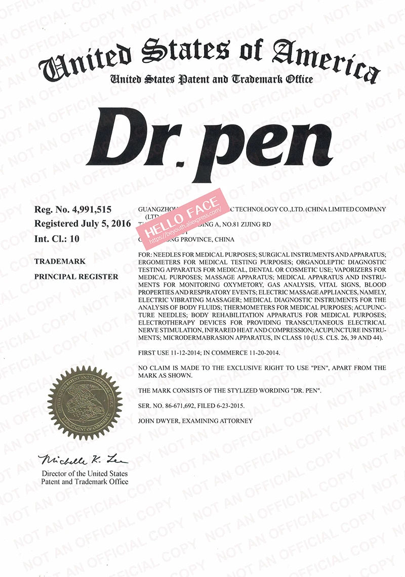Dr. Pen A11 with 2 PCS 18 pin 0.25 mm needle length