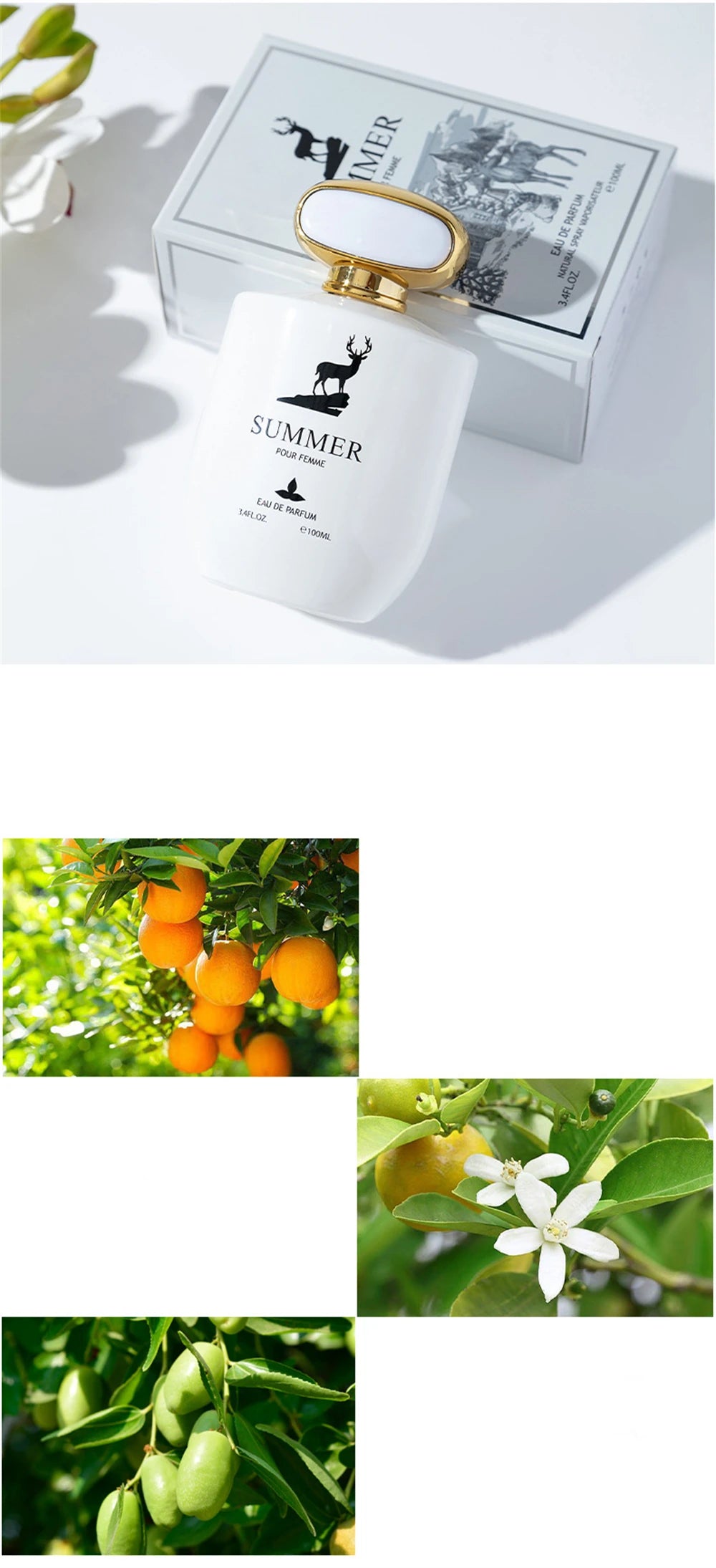 High Grade Perfume Women Parfum Pour Femme 100ml Natural Floral Scent Spray Perfumes Feminino Lasting Fragrant Profumo Donna New