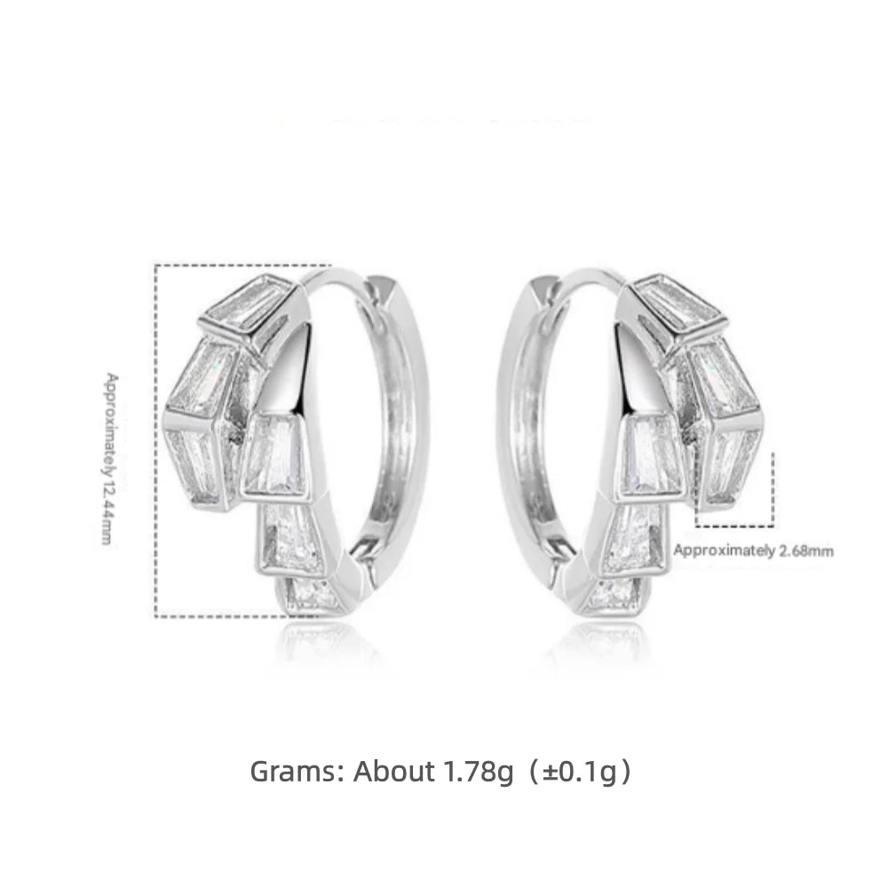 925 Sterling Silver Fashion Minimalist Geometric Snake Earrings Birthday Party Anniversary Gift