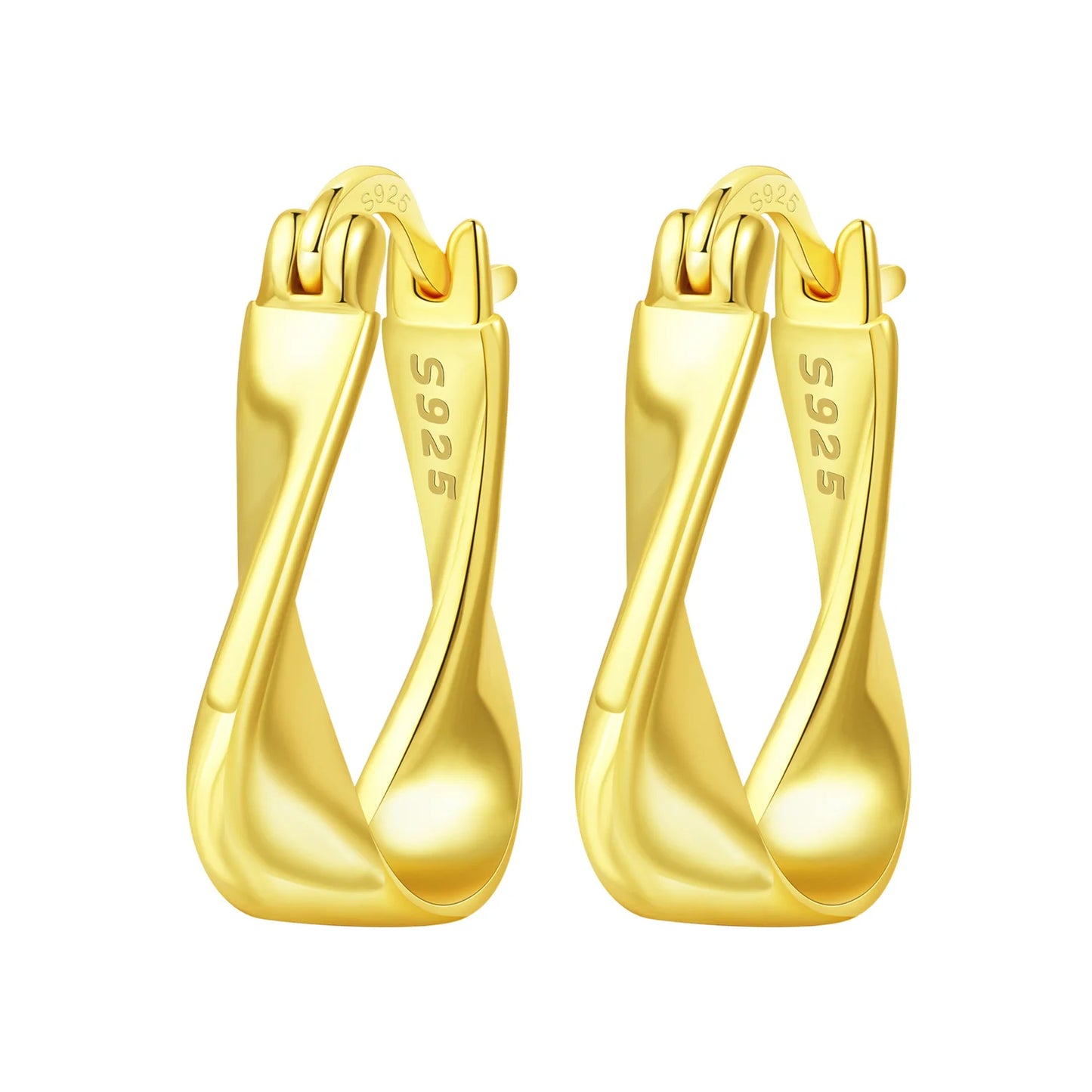 CYCUFF S925 Sterling Silver Zircon Simple Geometry Big Double Ring Earrings Birthday Party Gift Trend 2025 Jewelry Women Earring