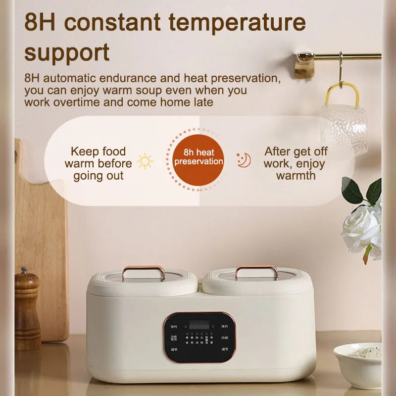 Electric Double-Liner Rice Cooker Heating Lunch Box Food Steamer Non-stick Pan Cooking Hot Pot Soup Stew Skillet Meals Heater