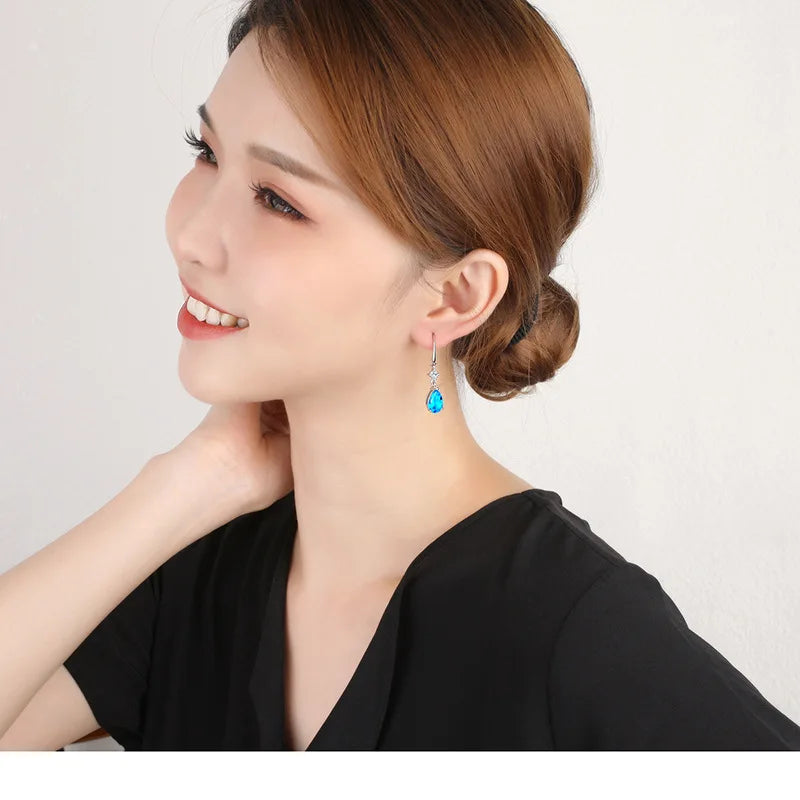 925 Sterling Silver Earrings luxury Circle Zircon Hoop Earring for Grils Woman Wedding party Jewelry Gifts Fine Jewelry