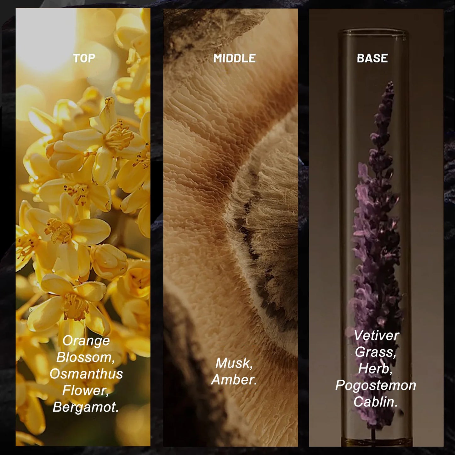 WK JALY Eau De Parfum For Men, With Notes of Bergamot, Woody, Rosemary, Men's Cologne Perfume, Long Lasting Scent, 120ml/4 oz