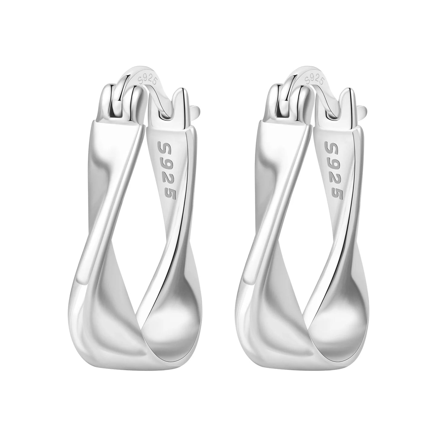 CYCUFF S925 Sterling Silver Zircon Simple Geometry Big Double Ring Earrings Birthday Party Gift Trend 2025 Jewelry Women Earring