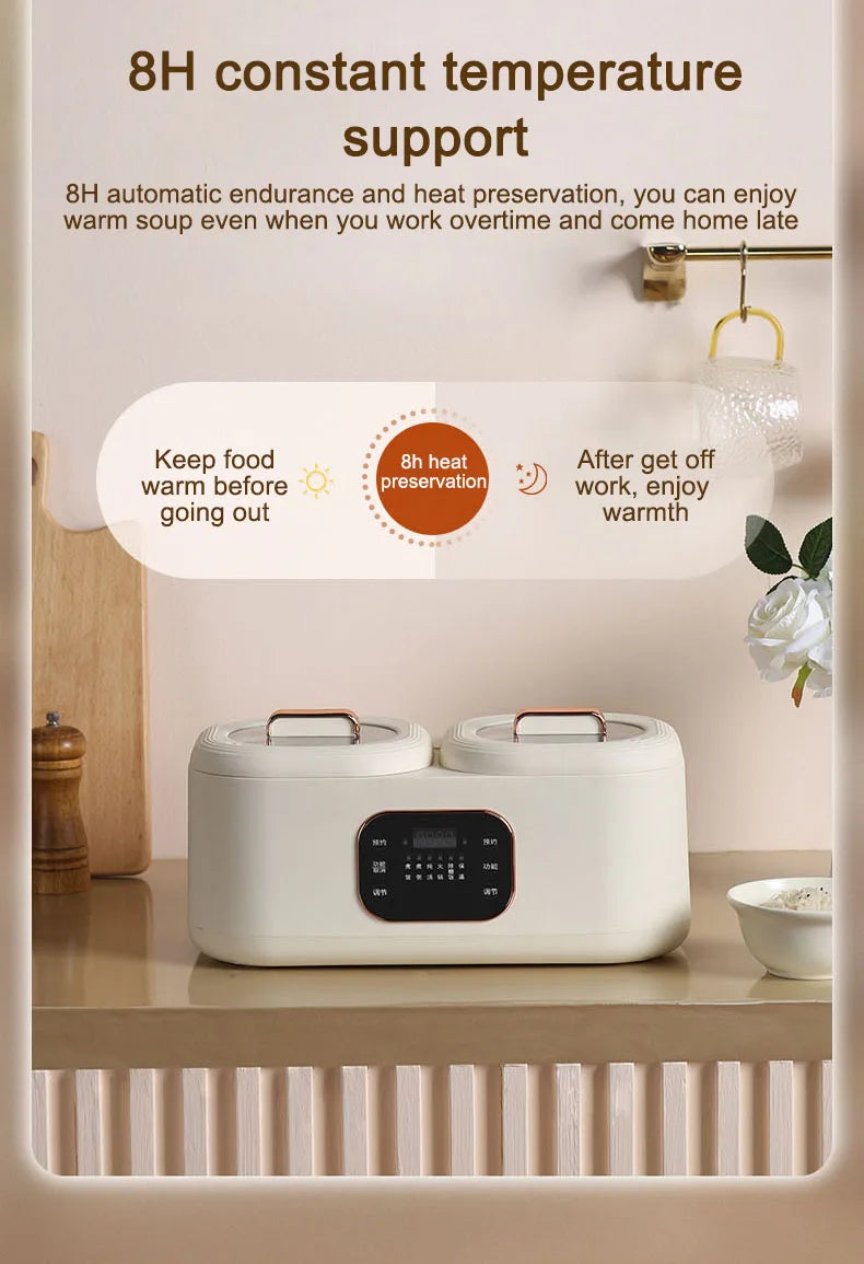 Electric Double-Liner Rice Cooker Heating Lunch Box Food Steamer Non-stick Pan Cooking Hot Pot Soup Stew Skillet Meals Heater